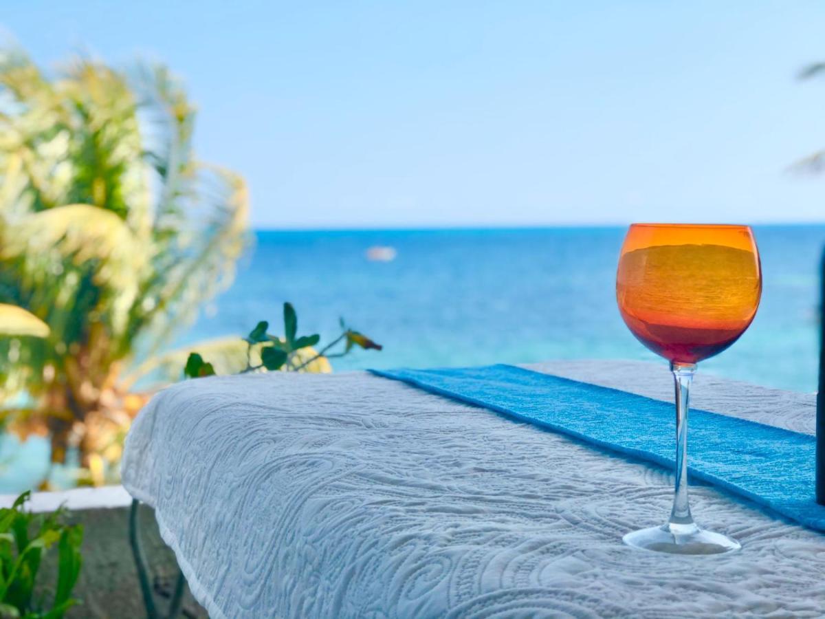 Flamingo Paradise Front By Cielo Maya Cancún Zewnętrze zdjęcie